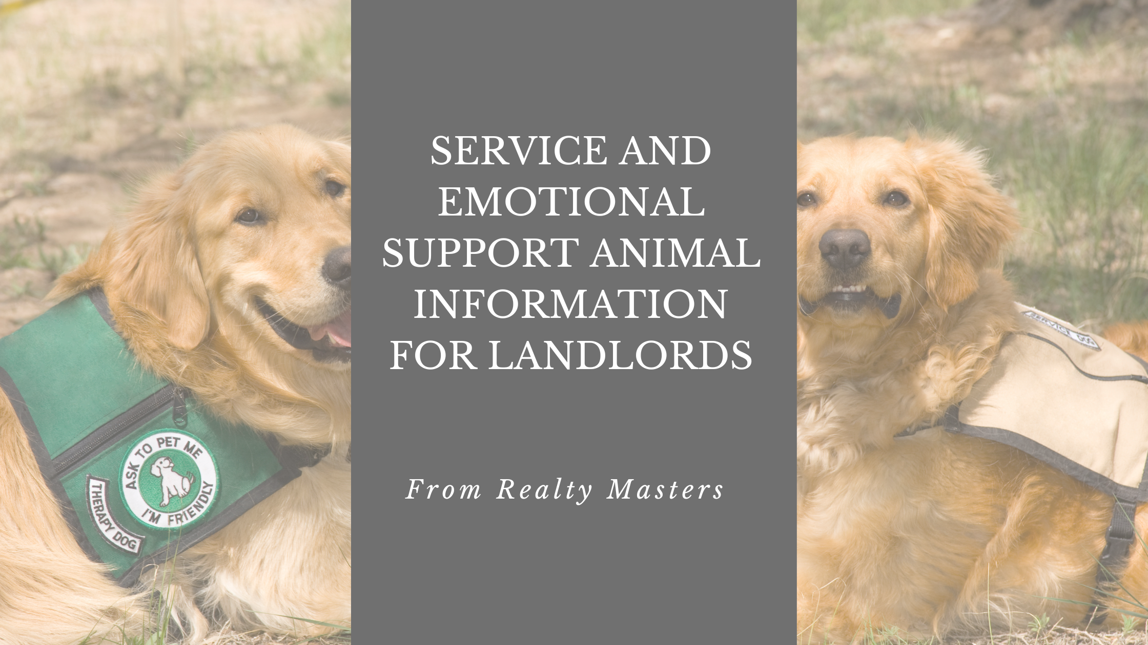 Service Animal and Emotional Support Animal Information for Landlords
